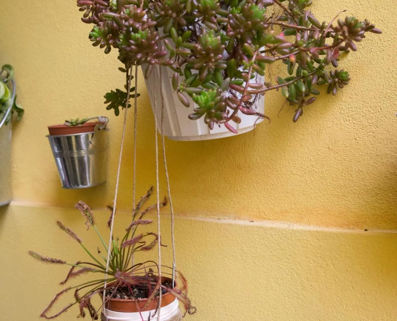 B&B Annalu' Guspini Italien